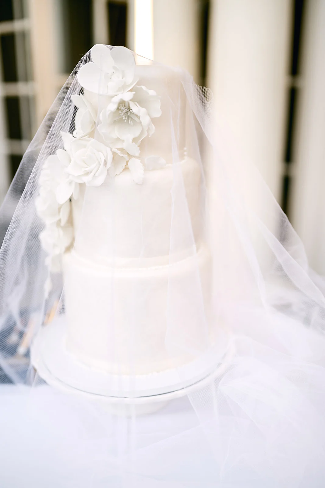Tulle wedding cake veil for editorial wedding style and practical way to keep bugs off of wedding cake