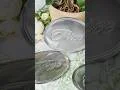 Create Stylish Silver Foil Table Numbers for Your Wedding with Cricut