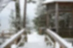 Snow-covered wooden walkway and pergola at a winter wedding venue surrounded by snow-laden trees