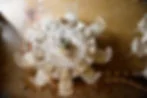 wedding reception table