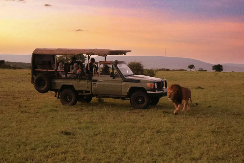 How Much Should Couples Budget for Their Honeymoon?