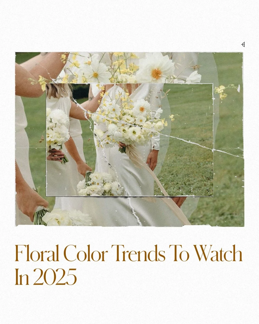 Floral Color Trends to Elevate Your 2025 Wedding Decor